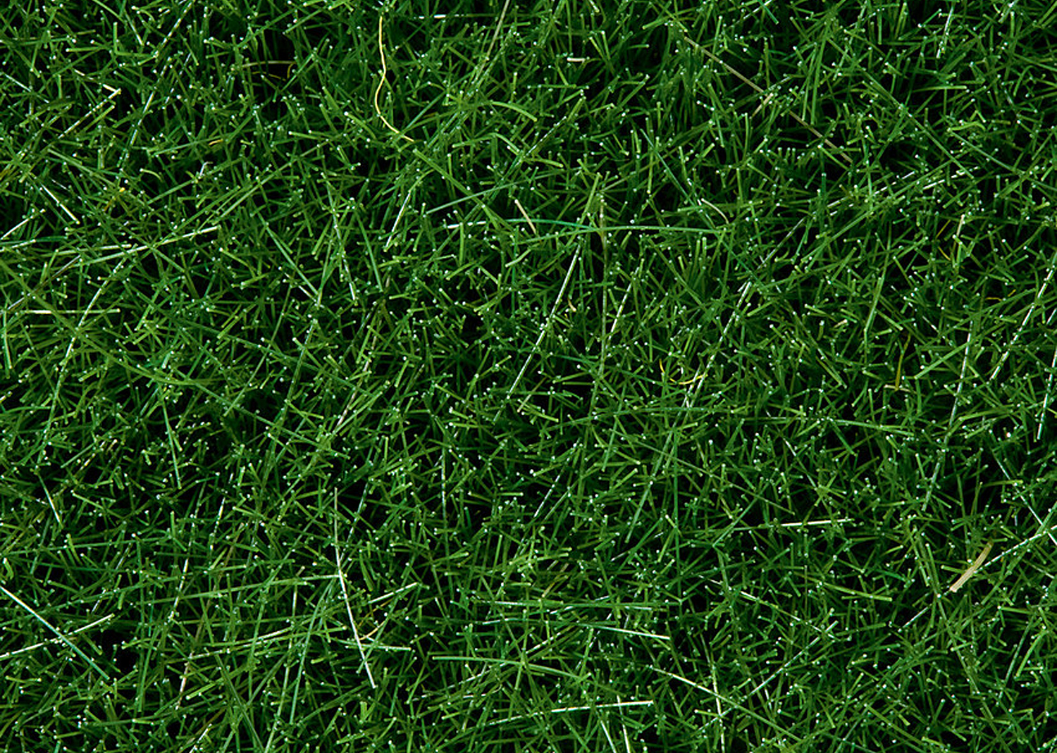 Noch 7094 Wildgras dunkelgrün 100g Dose 